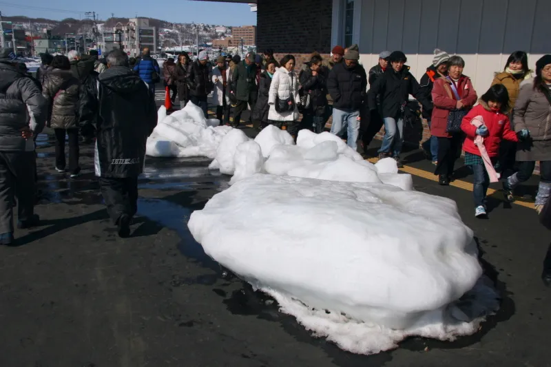 冬限定で展示されるオホーツク海から持ってきた流氷