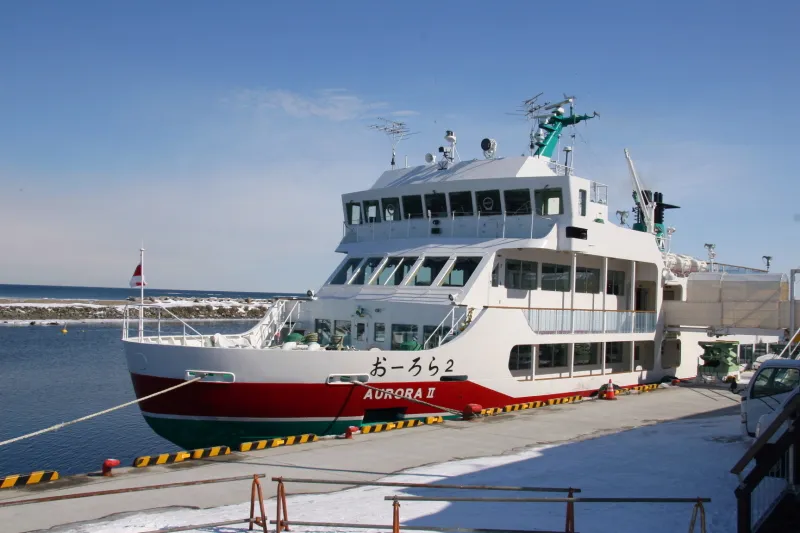冬の定番観光となっている人気の遊覧船