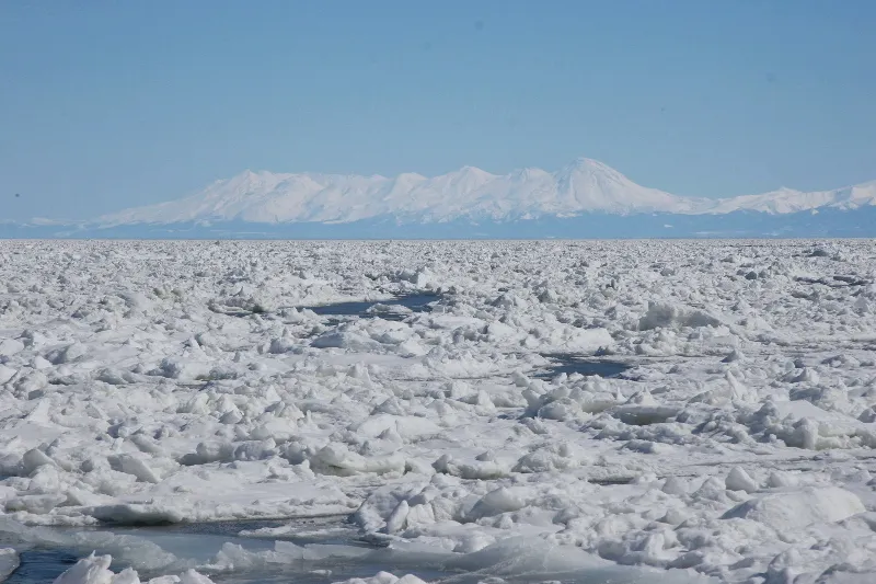 海面に浮かぶ流氷の先に見える雪景色の知床半島