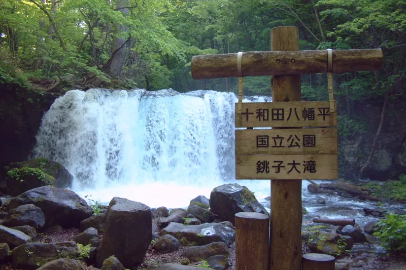 水量が多く、豪快に流れる銚子大滝