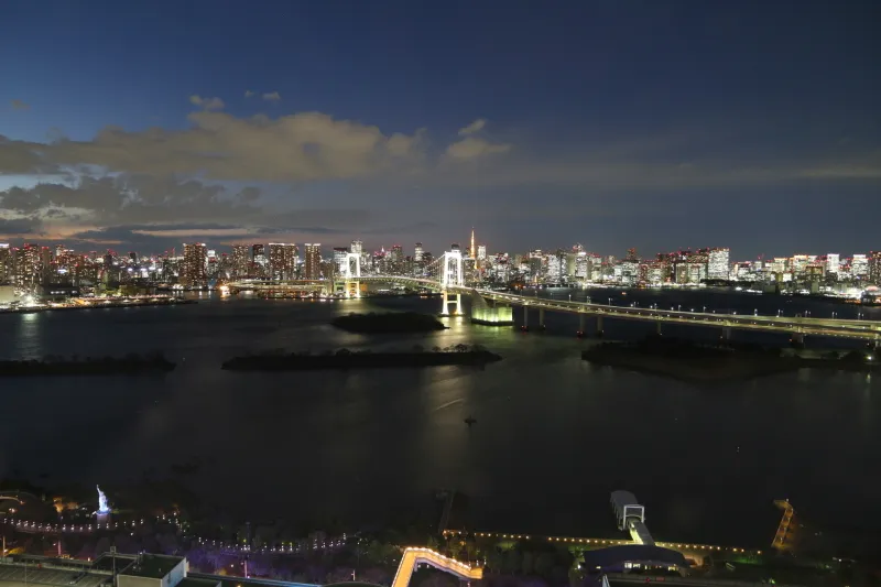 東京湾に浮かぶように光り輝く東京都内の夜景
