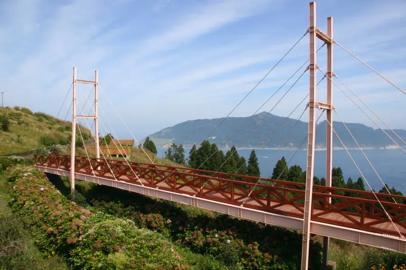 公園の中央に架けられている吊り橋