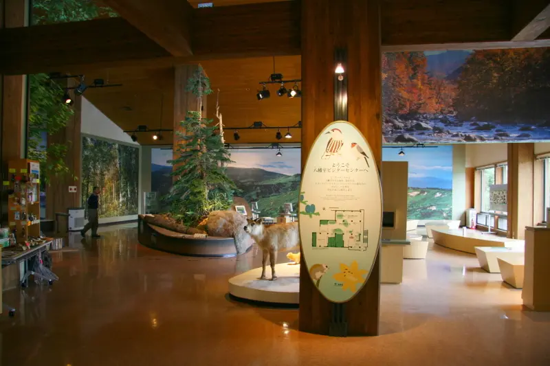 ビジターセンターは八幡平の動植物を紹介する展示館