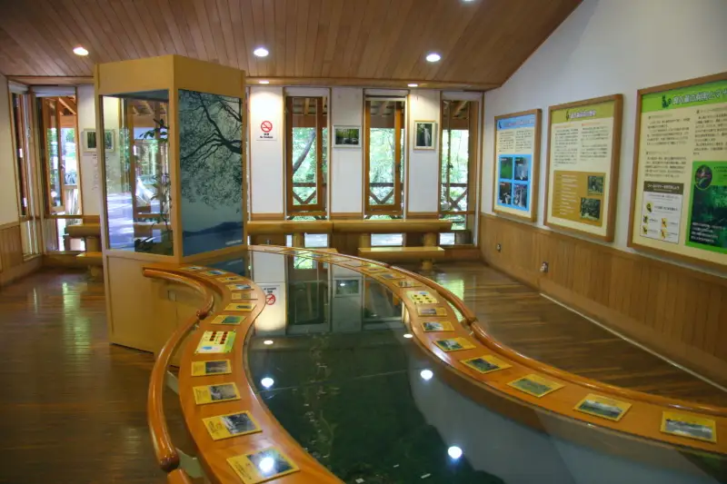 ビジターセンターは奥入瀬について紹介する展示館