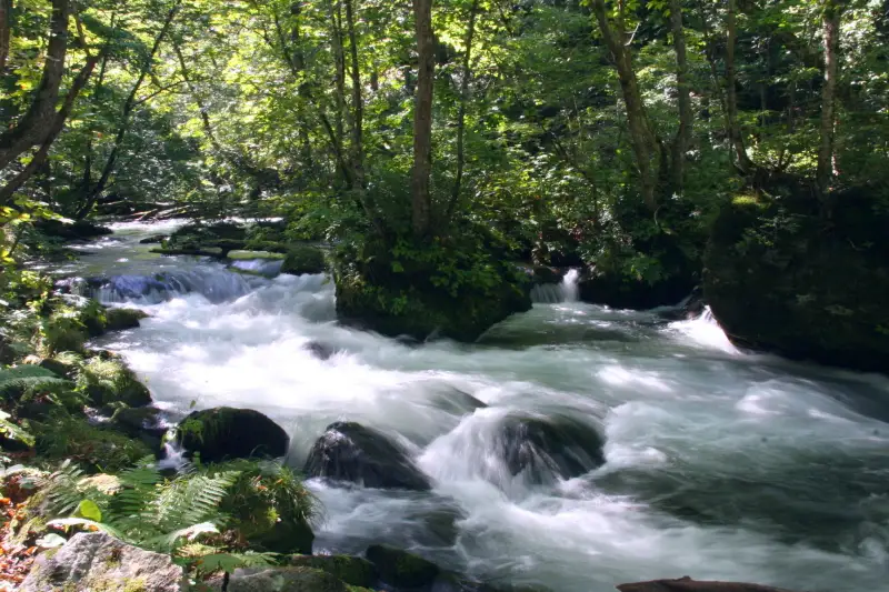 岩の間を水しぶきを上げて流れる石ヶ戸の瀬と呼ばれる渓流