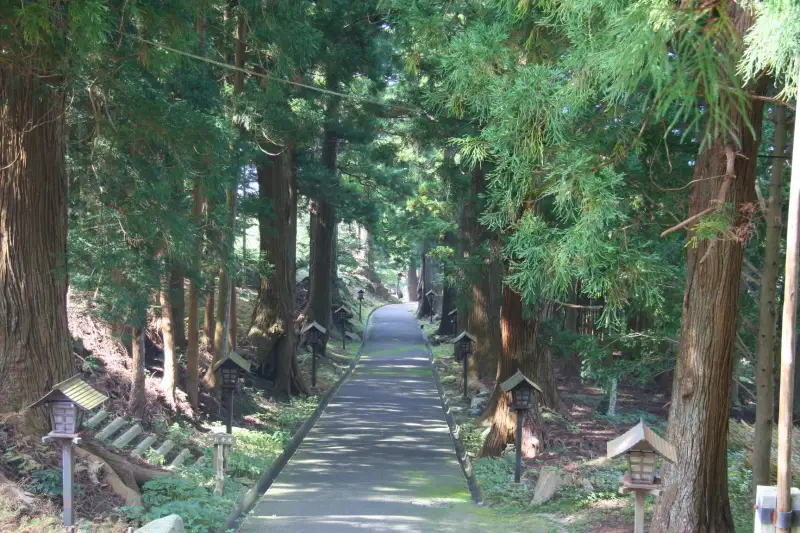 巨木が立ち、静寂な空気の漂う杉の参道
