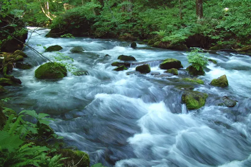 静かな流れや豪快な流れなど様々な渓流が見られるのが特徴