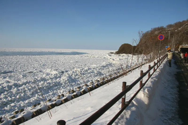 ウトロの海岸線を覆い尽くす流氷の光景