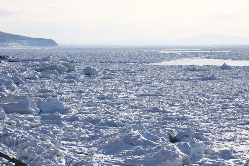 沖合まで氷が続き雄大な景色の広がるオホーツク海