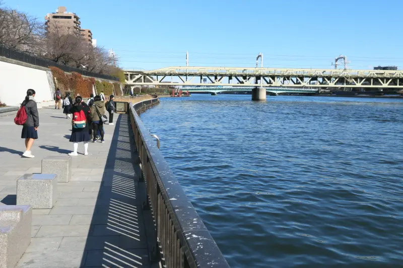 接する隅田川は綺麗に整備され散歩もできる川辺