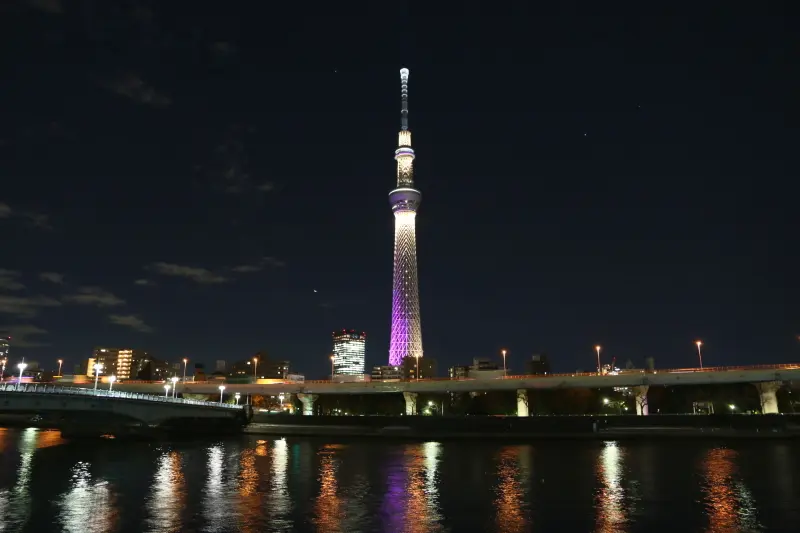 優美なライトアップが夜空に輝く東京スカイツリーの夜景