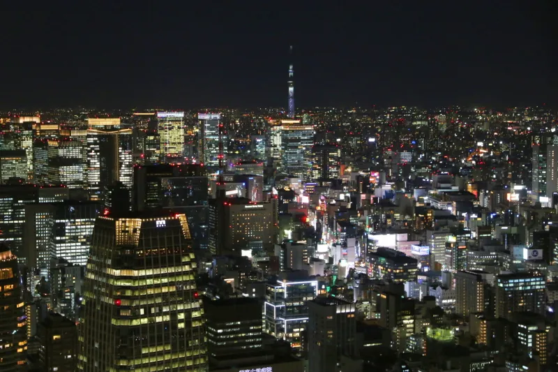 ライトアップしたスカイツリーも見える東京都内の夜景