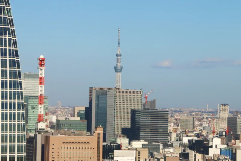 ビルの上から顔をのぞかせる東京スカイツリー