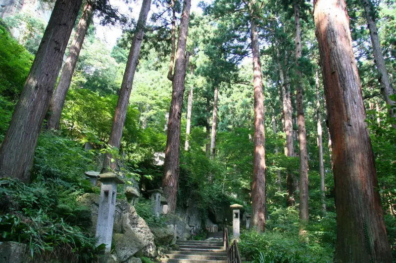 石段の両脇には杉が立ち並び緑に囲まれている参道