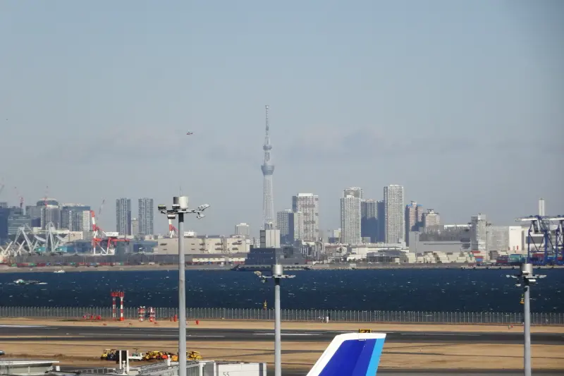 東京湾が目の前に広がり北方向に見える東京スカイツリー