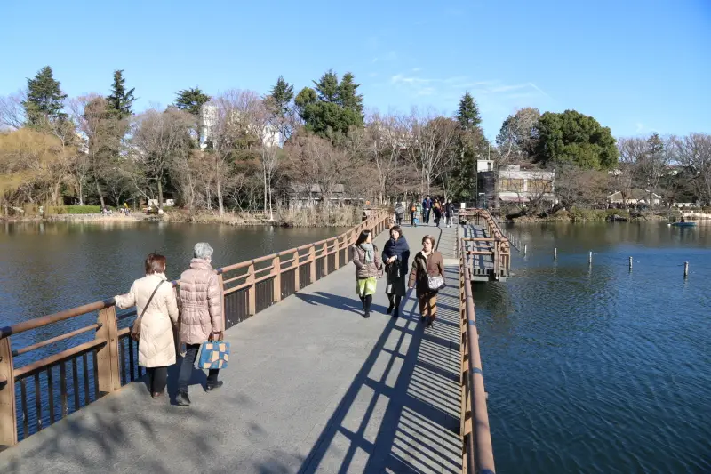 園内の展望スポットとなっている池に架かる七井橋