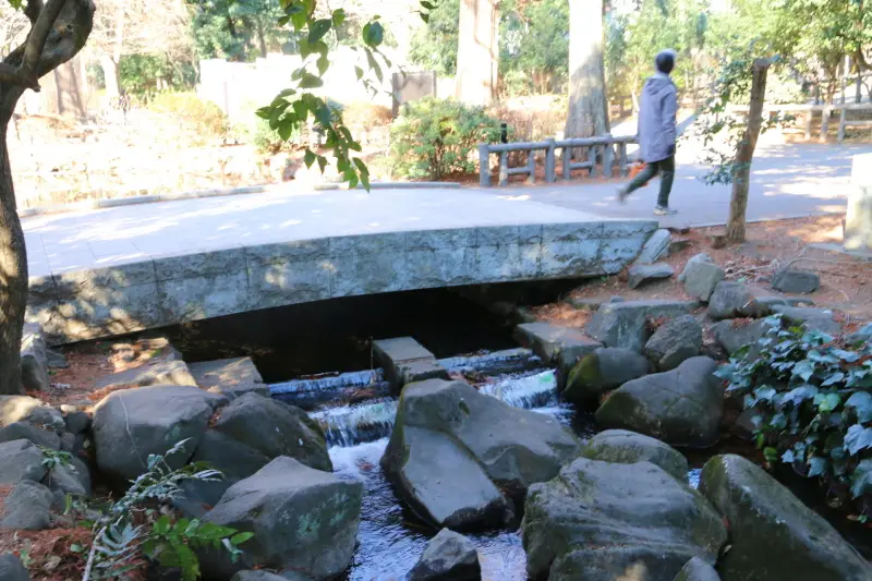 井の頭公園は神田川の源流となり池の東端にある川の起点