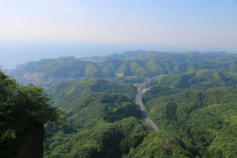 標高も高いため、緑の森が広がりその先に見える東京湾