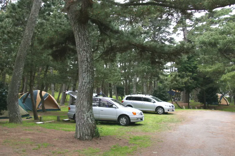 駐車場がキャンプ場内にあるため、荷物の移動が楽々