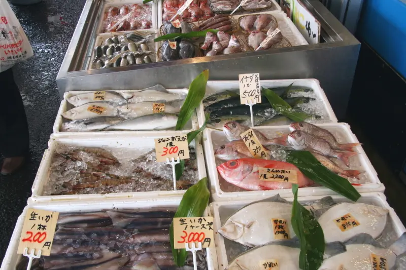 魚市場から直送のため、魚介類の鮮度は抜群