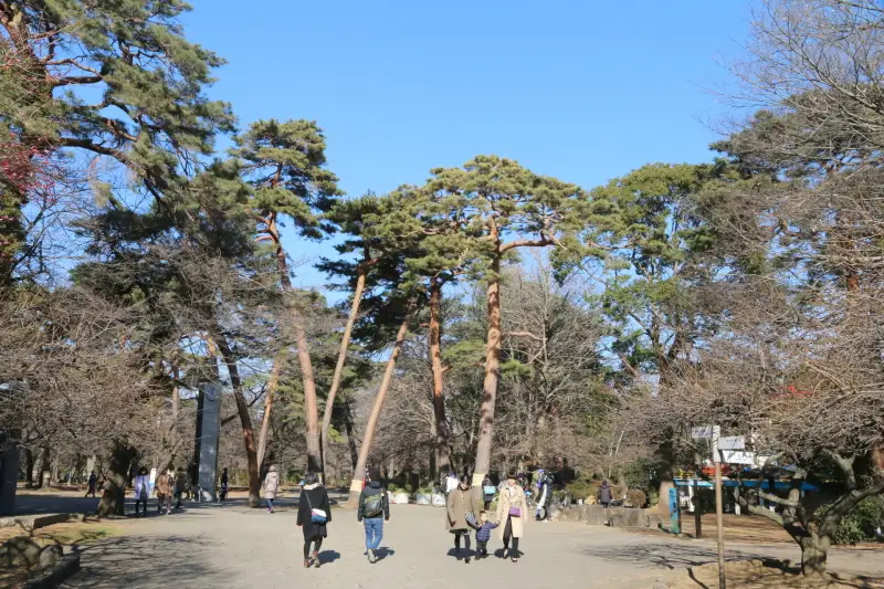 木々が植えられ緑豊かな大宮公園