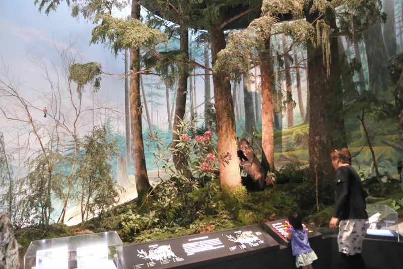 長瀞の動植物や森を再現した生物展示ホール