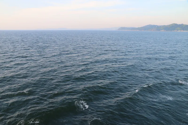 穏やかな青い海が水平線まで続く東京湾の景色