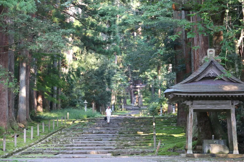 深い森の中を石段の参道が続く平泉寺白山神社