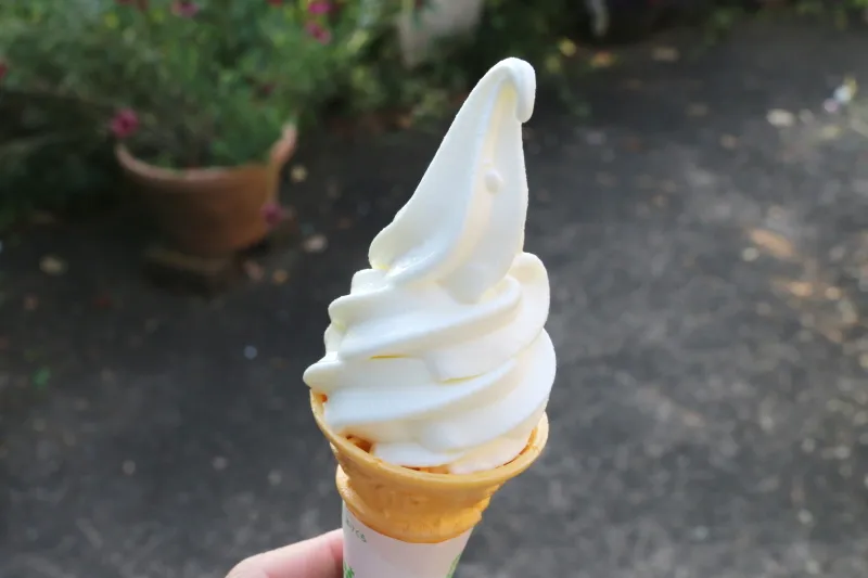 「平泉寺のソフトクリーム屋さん」の濃厚なジャージー牛ソフト
