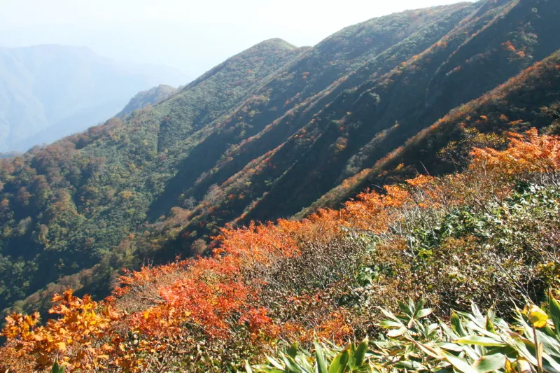 訪れたのが１０月下旬たったため、紅葉していた山の斜面