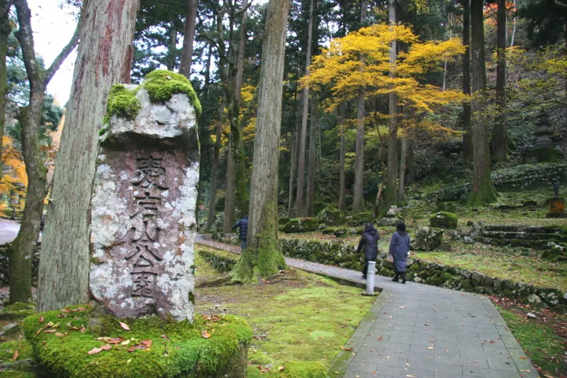 木々に覆われた静かな場所にある愛宕山公園