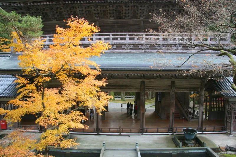 永平寺で一番古い建物の山門。紅葉とのコントラストが綺麗