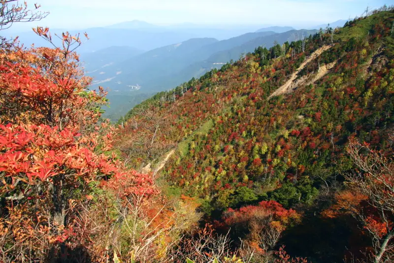訪れたのが１０月中旬だったため紅葉していた山の斜面