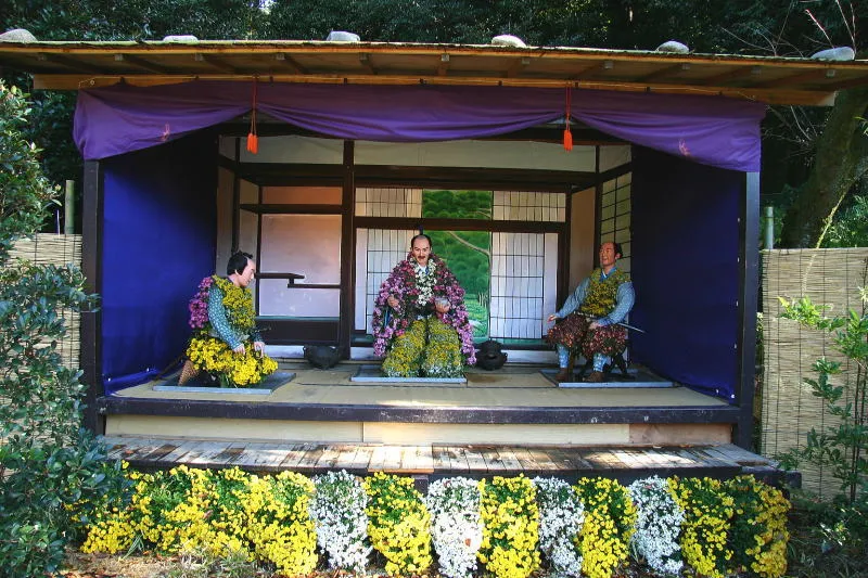 秋の菊人形・菊花展の様子。展示される菊の数は約３０００鉢