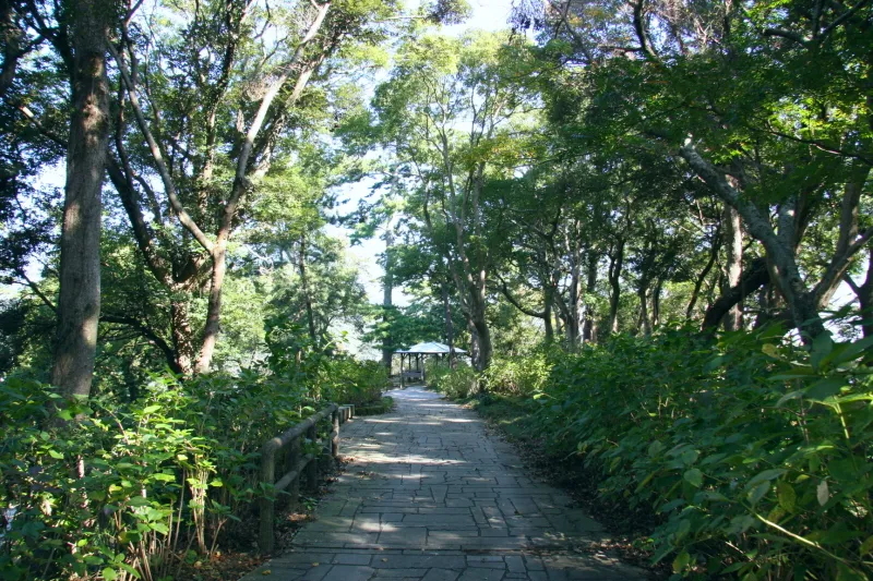 遊歩道が整備され、自然散策のできる下田公園
