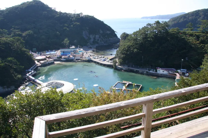 お茶ケ崎展望台から眼下に見える下田海中水族館