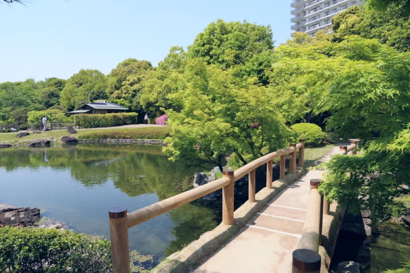 ゆったりとした池の広がる池泉回遊式日本庭園