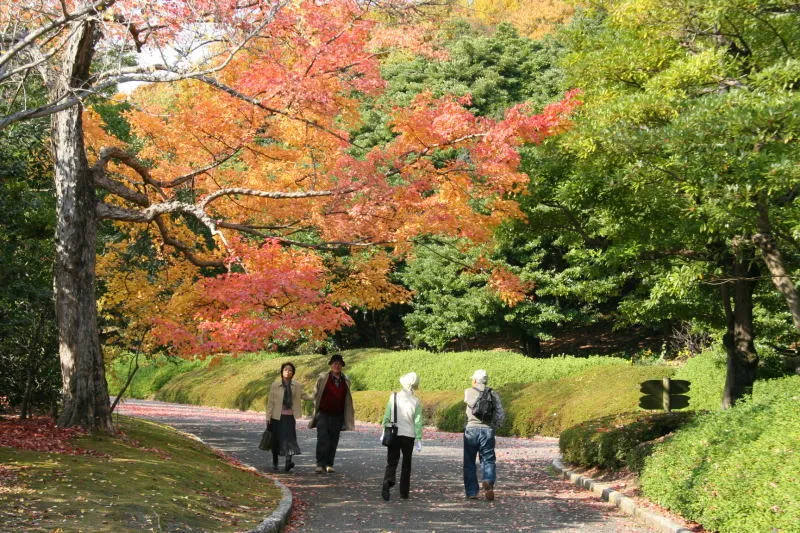 大阪では有名になっている万博公園の紅葉