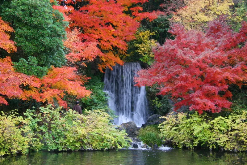 紅葉渓にある小さな滝と紅葉のコラボ