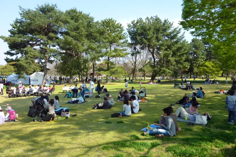 広大な芝生広場が広がり、お弁当持参で訪れる人も多い憩い公園