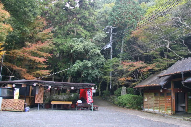 ソフトクリームやドリンクを販売する茶店「犬鳴山ＷＯＯＤＳ」