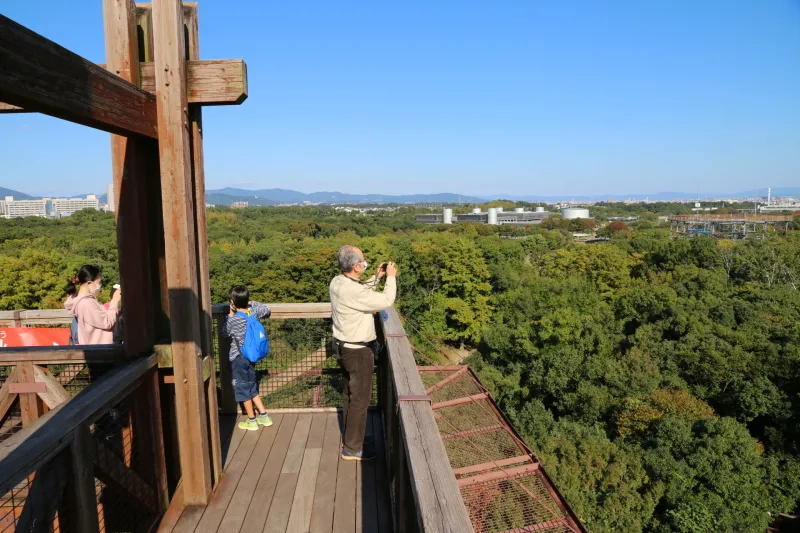 展望タワーからは眺めが良く大阪とは思えない森の広がる光景