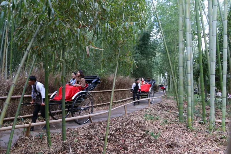 竹林の中に造られている人力車専用の小径