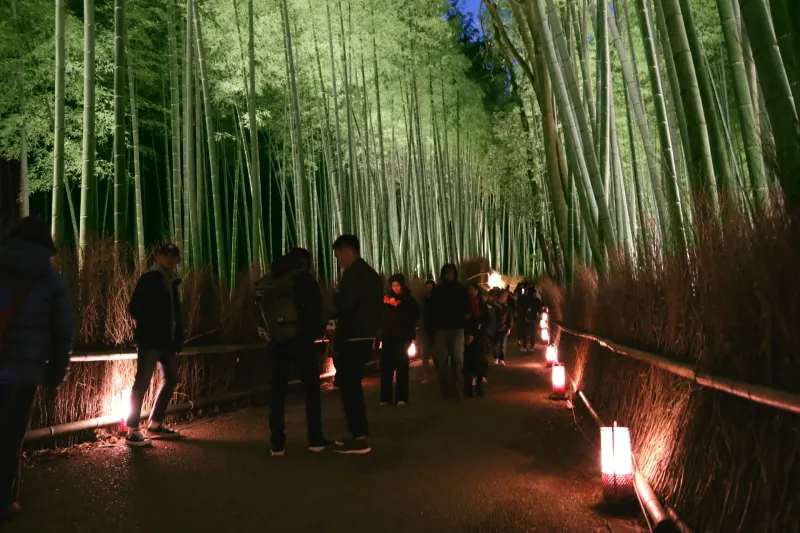 嵐山花灯路のイベントでライトアップされる竹林の道