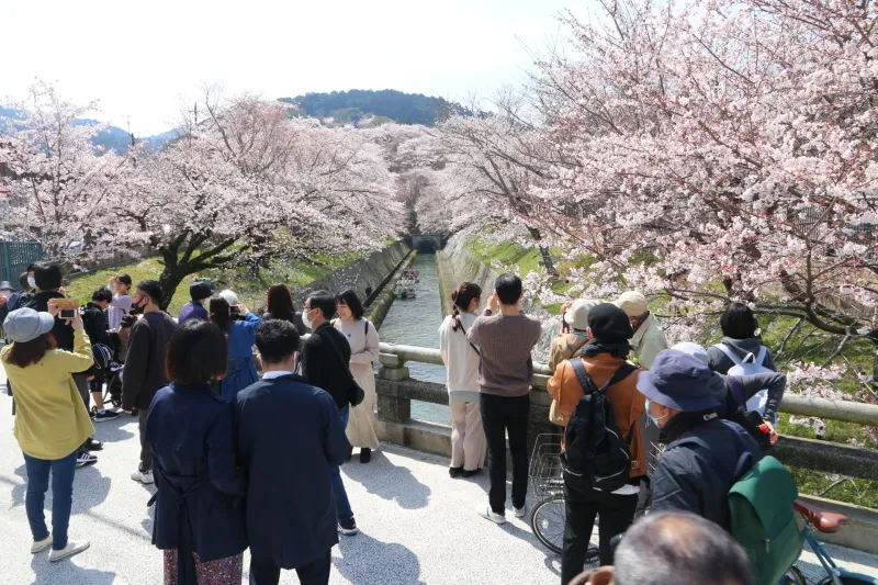 琵琶湖疎水が一直線に見られる鹿関橋は人気の撮影スポット