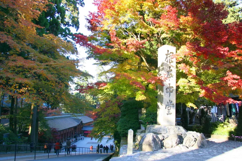 秋になると木々が鮮やかに色づく、紅葉の名所としても有名