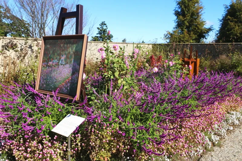 アメジストセージが咲く中に展示するジヴェルニー・モネの庭