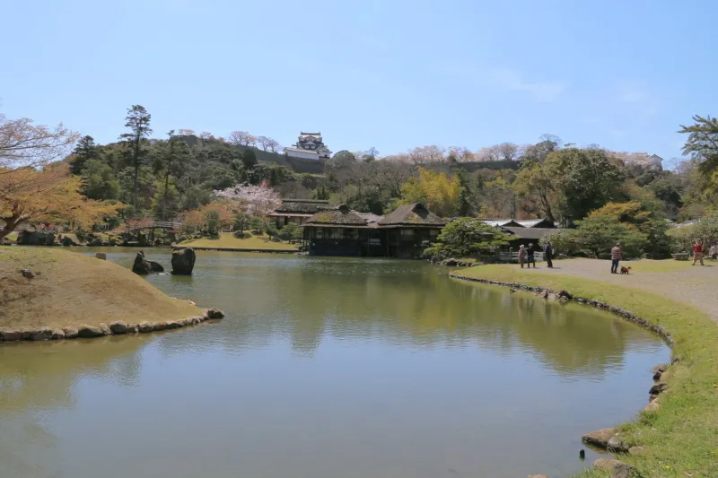 大きな池に木や石を配置して近江八景を模して造られた庭園