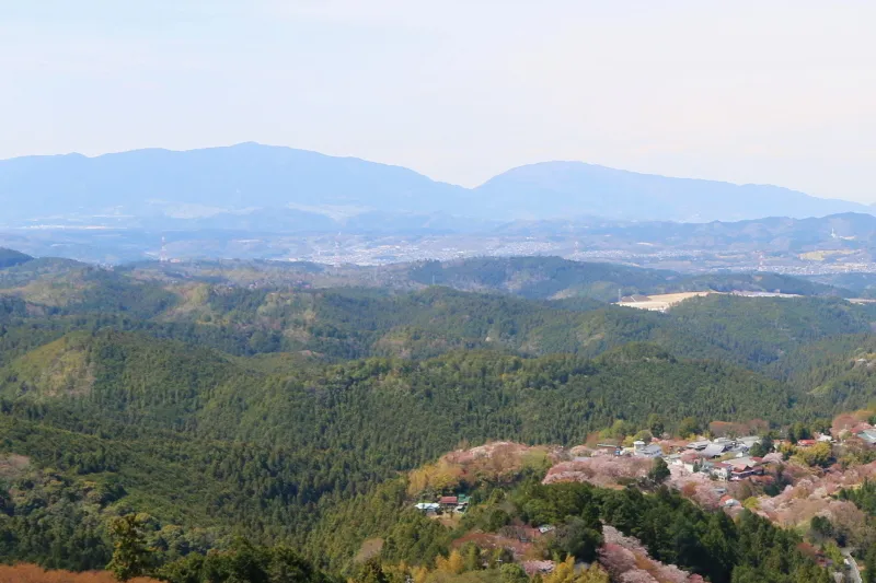 遠くに見える二つの山は金剛山（左側）と葛城山（右側）