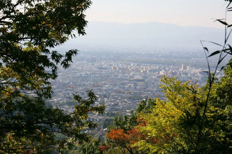 しばらく登ると木々の間から見えた京都の街並み